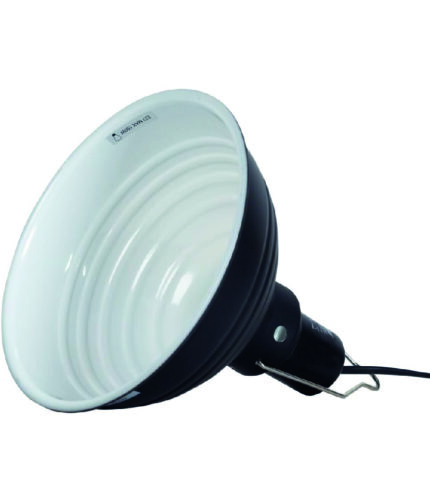 Hobby Clamp Lamp Gaze Terrarium Lampe Terraristix Reptilienzucht