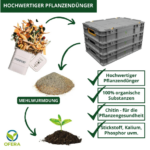 Insektenzucht Ofera Zuchtbox Mehlwürmer Terraristix