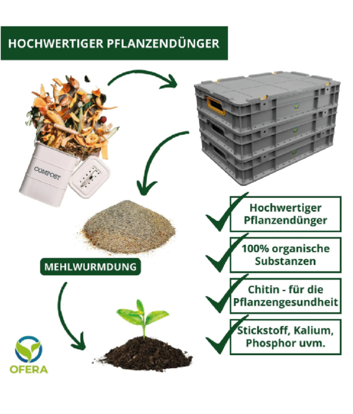 Insektenzucht Ofera Zuchtbox Mehlwürmer Terraristix