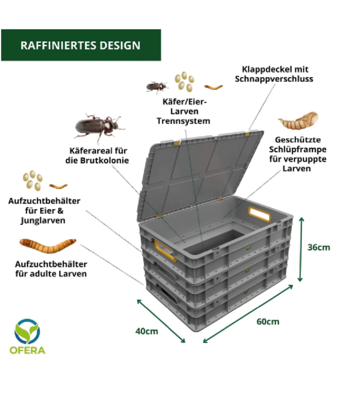 Insektenzucht Ofera Zuchtbox Mehlwürmer Terraristix