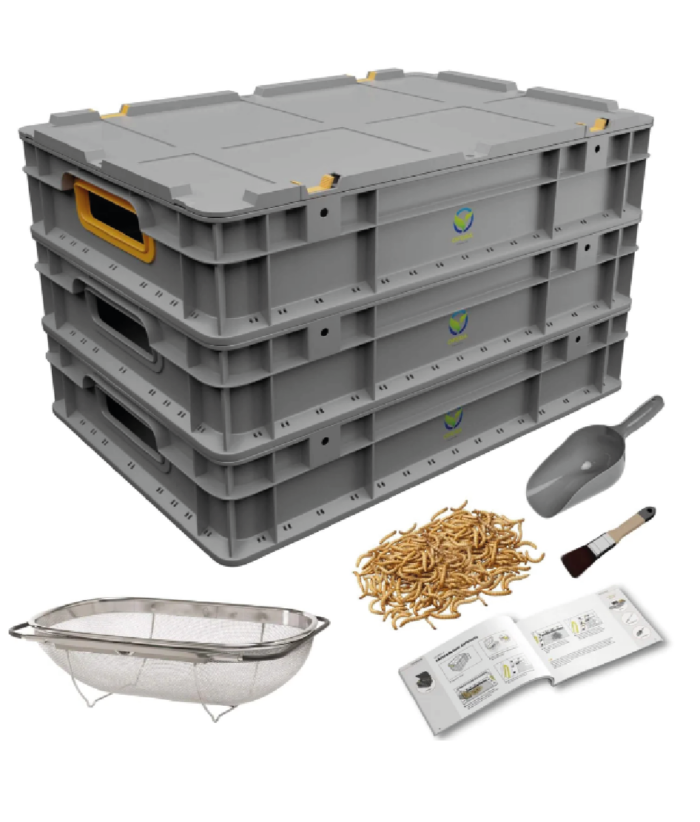 Insektenzucht Ofera Zuchtbox Mehlwürmer Terraristix