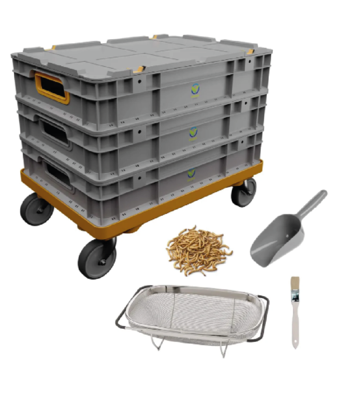 Insektenzucht Ofera Zuchtbox Mehlwürmer Terraristix