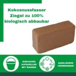 Kokoserde Humus Terrarien Bodengrund Terraristix Reptilienzucht