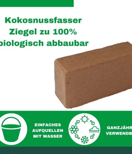 Kokoserde Humus Terrarien Bodengrund Terraristix Reptilienzucht