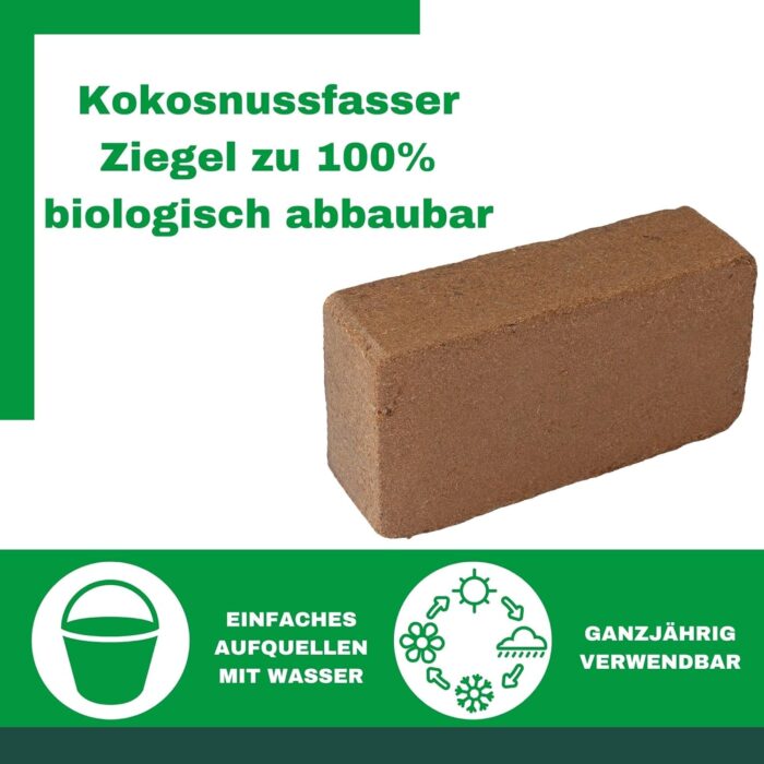 Kokoserde Humus Terrarien Bodengrund Terraristix Reptilienzucht