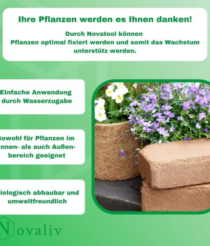 Kokoserde Humus Terrarien Bodengrund Terraristix Reptilienzucht